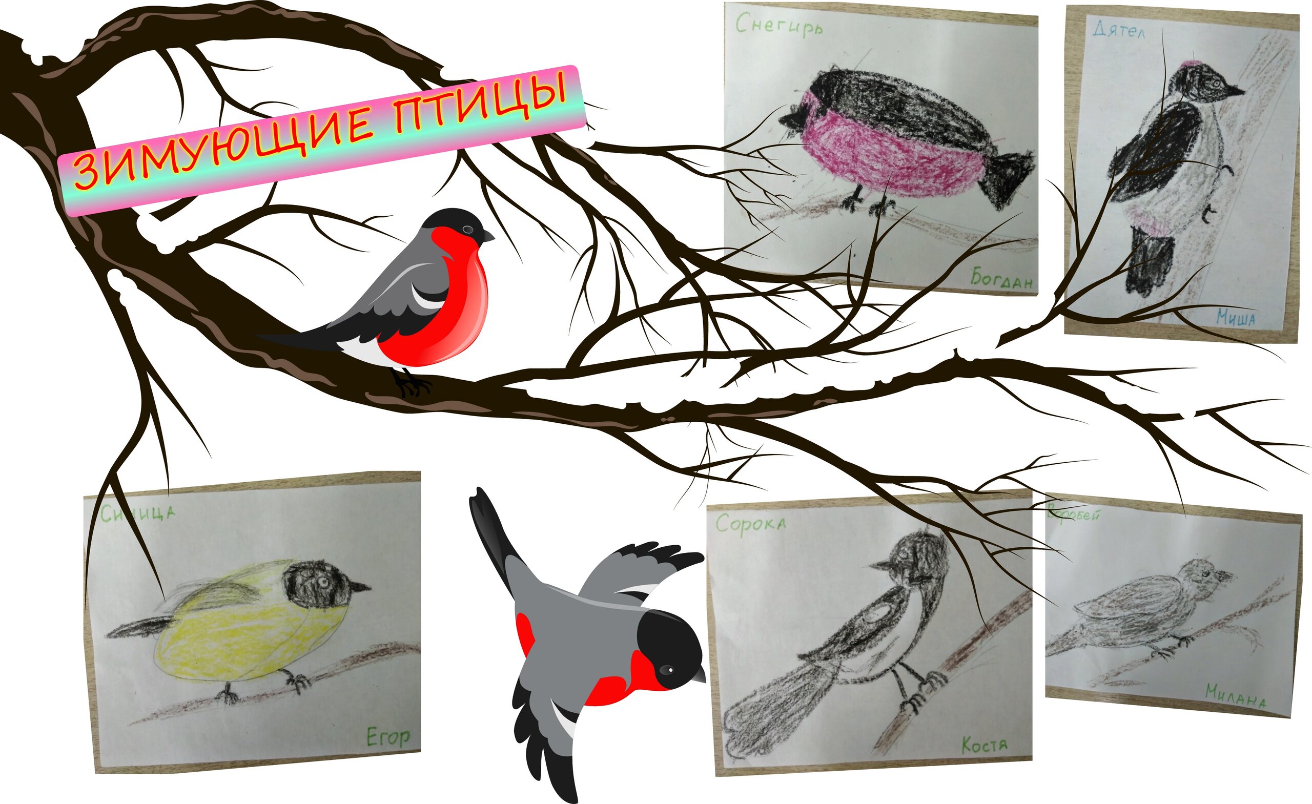 Выставка рисунков зимующие птицы